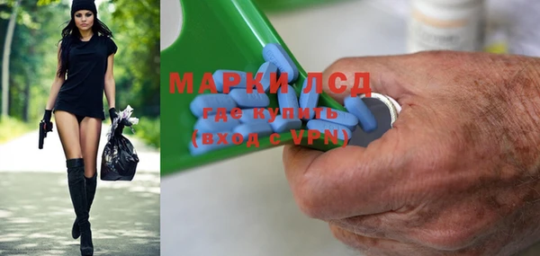 прущие грибы Чердынь