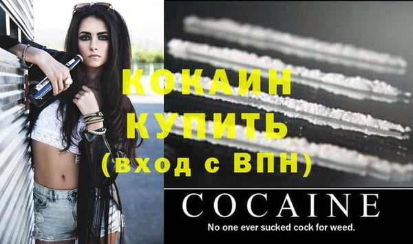 стафф Кинешма