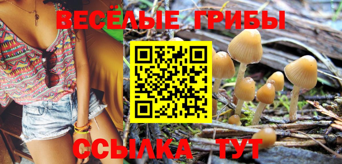 Галлюциногенные грибы мицелий Кушва