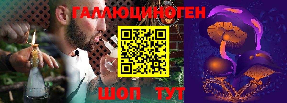 хочу наркоту  Псилоцибиновые грибы ЛСД  Псилоцибиновые грибы Psilocybe  Вход с VPN  Кушва 