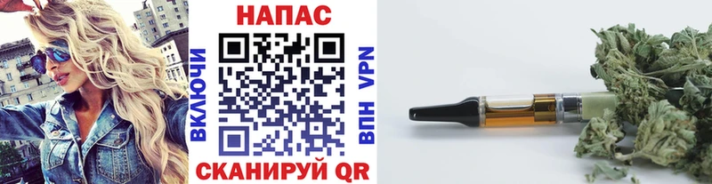как найти наркотики  Кушва  Каннабис SATIVA & INDICA 